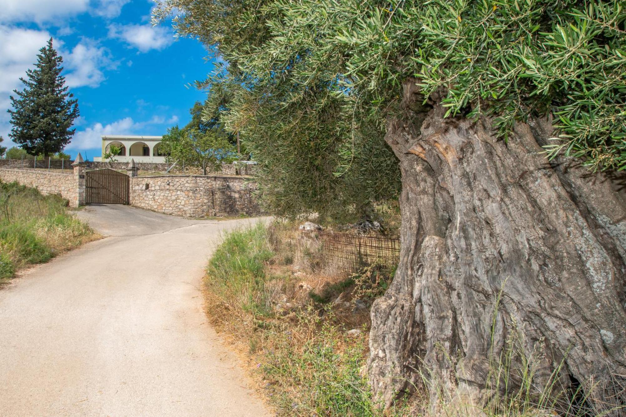 Leandros Private House Near Shipwreck Beach By "Elite" Maries  Buitenkant foto